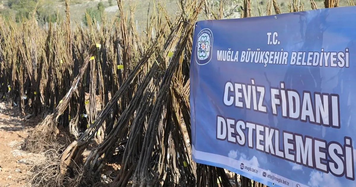 Muğla ‘her kapıda bir fidan’la toprağa sahip çıkıyor