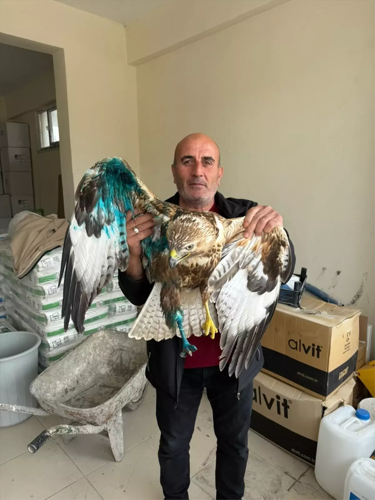yarali kizil sahin tedavi altinda BipJLgzy.jpg