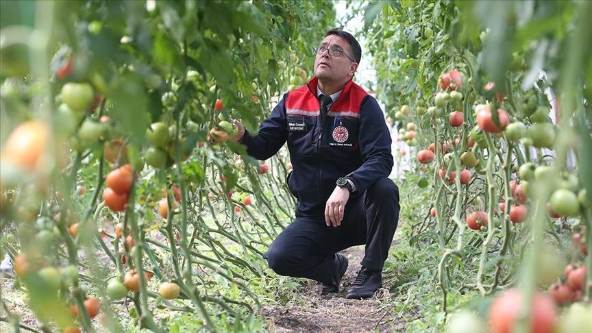 Ziraat mühendislerinin oluşturduğu sera vatandaşlara ilham oldu