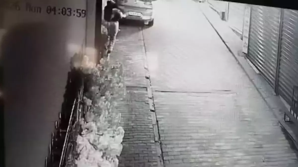 Bursa’da İlginç Hırsızlık Olayı: Süs Ağacı Gasp Edildi